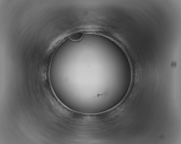 X0000113321451200909211144