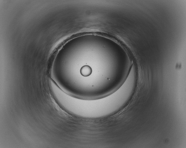 X0000113321452200909211144