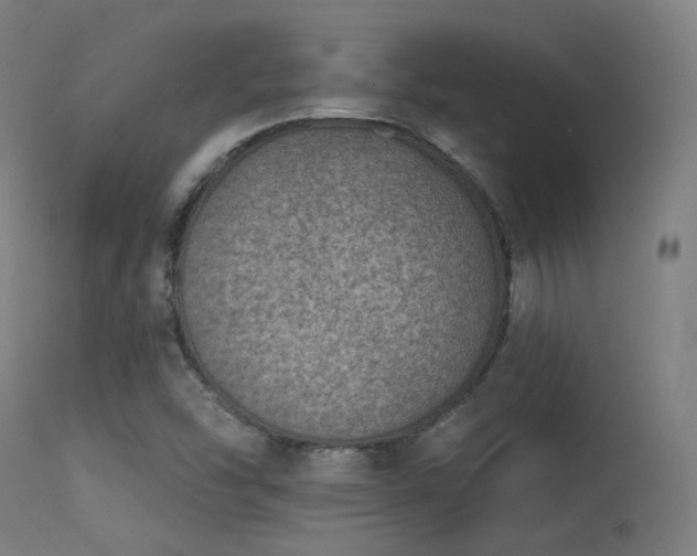 X0000113321454200909211144