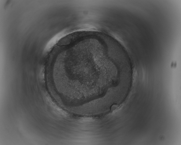 X0000113321455200909211144