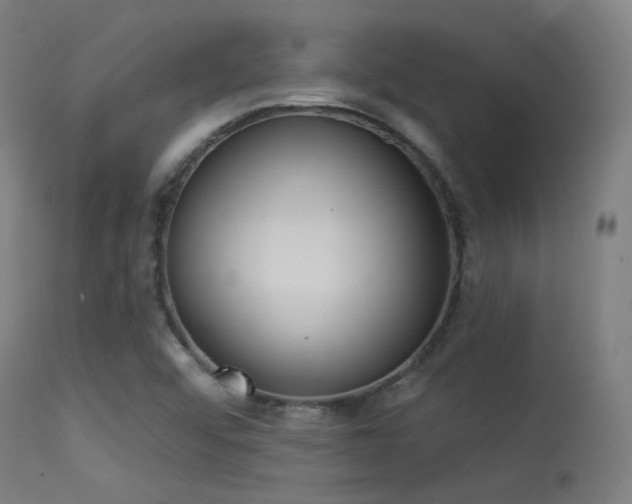 X0000113321456200909211144