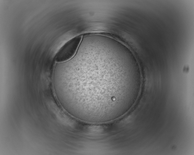 X0000113321457200909211144