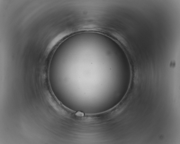 X0000113321458200909211144