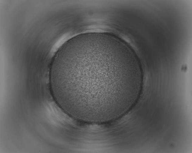 X0000113321459200909211144