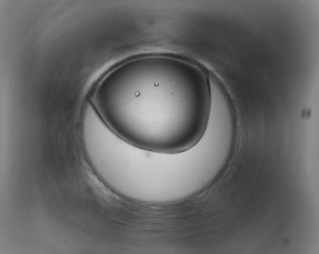 X0000113321460200909211144