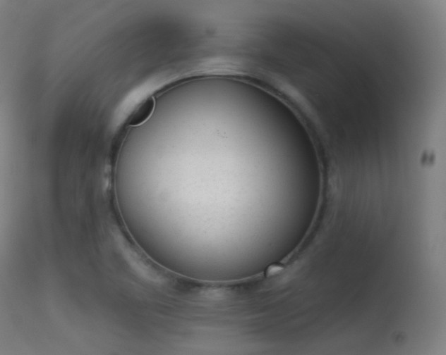 X0000113321461200909211144