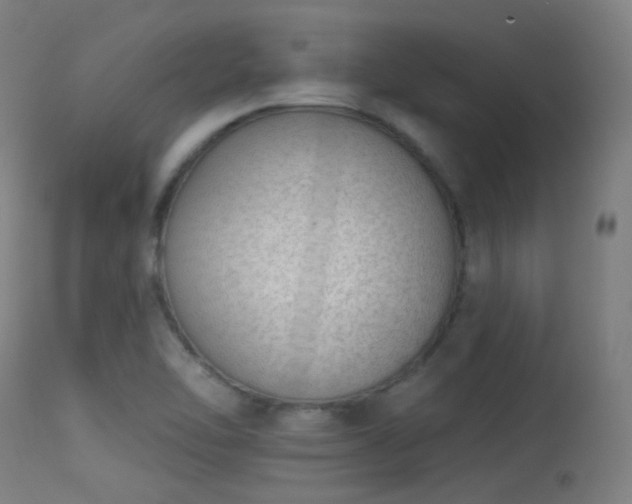 X0000113321462200909211144