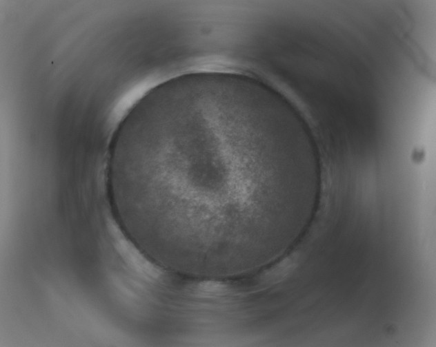 X0000113321463200909211144