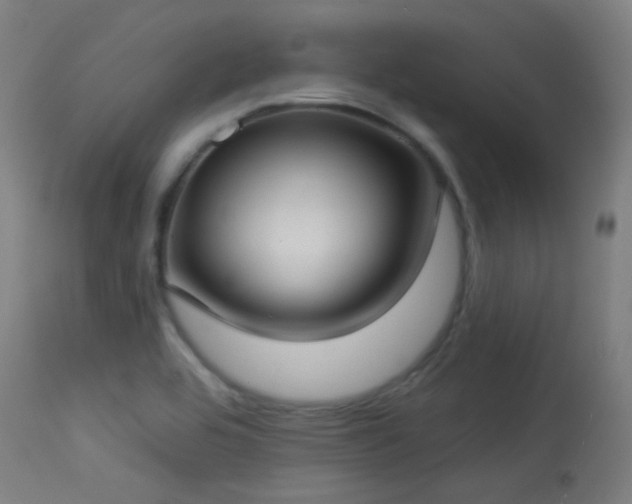 X0000113321464200909211144