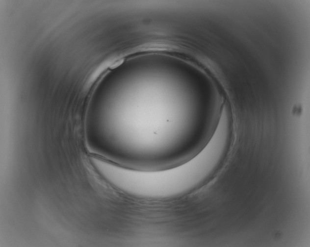 X0000113321465200909211144