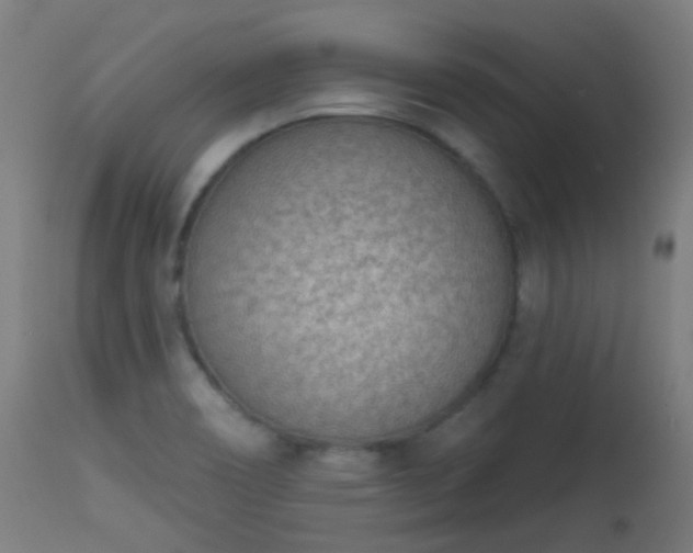 X0000113321466200909211144