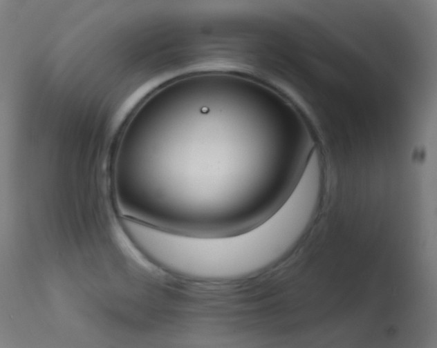 X0000113321468200909211144