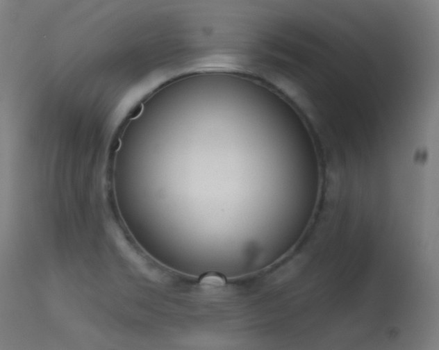 X0000113321469200909211144