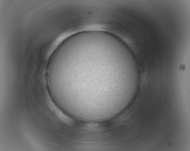 X0000113321470200909211144