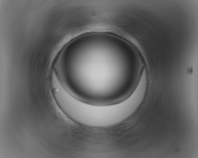 X0000113321472200909211144