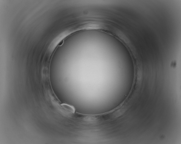 X0000113321473200909211143