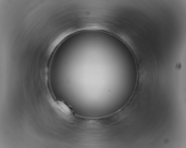 X0000113321476200909211143