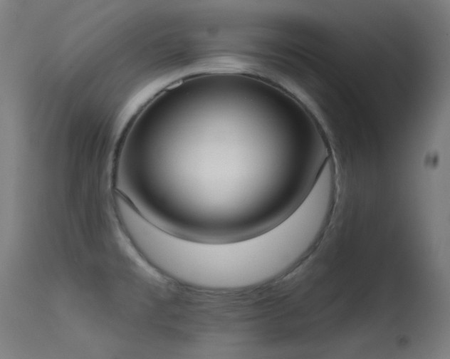 X0000113321477200909211143