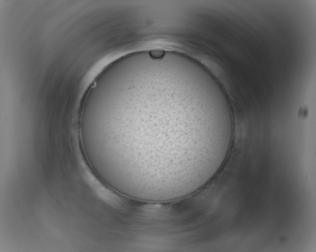 X0000113321478200909211143