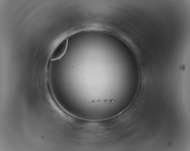 X0000113321479200909211143