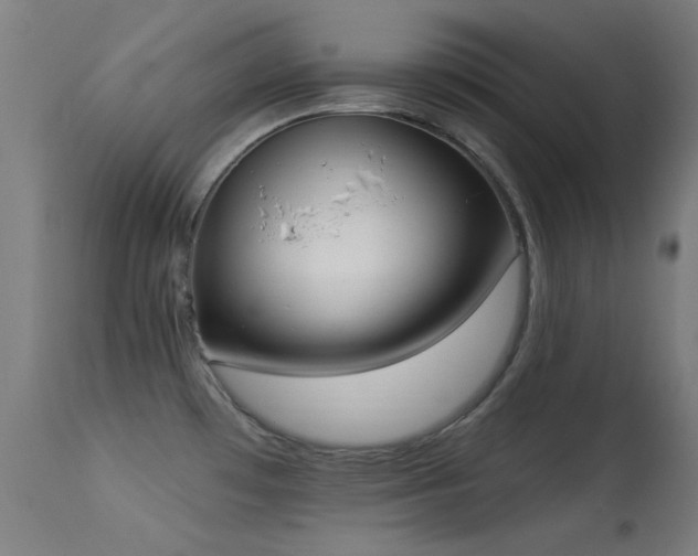 X0000113321481200909211143