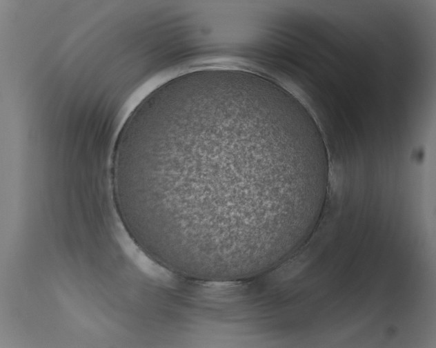 X0000113321482200909211143