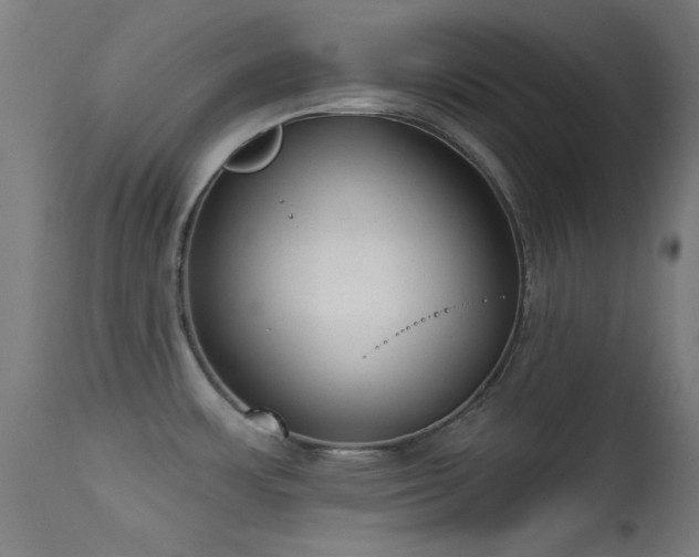 X0000113321483200909211143