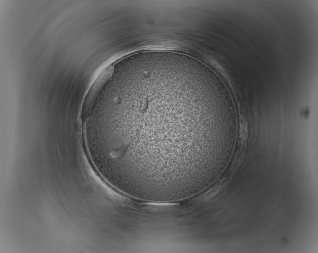 X0000113321487200909211143