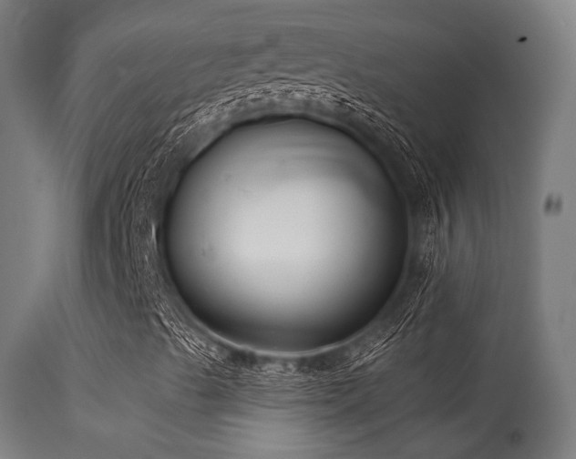 X0000113321489200909211142