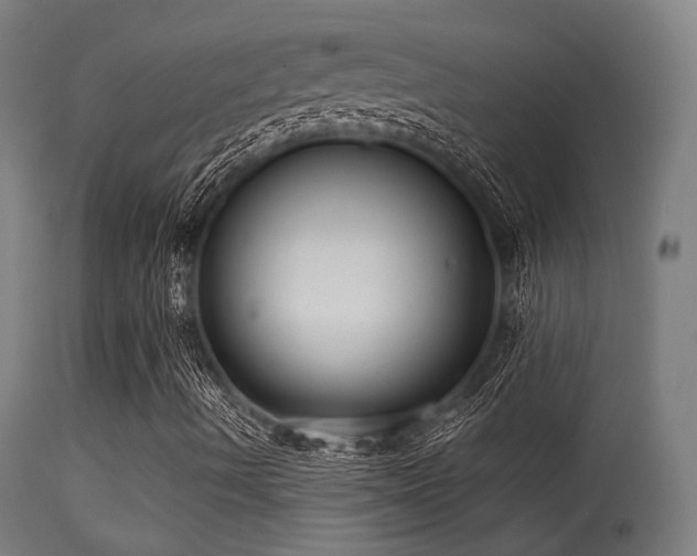 X0000113321490200909211142