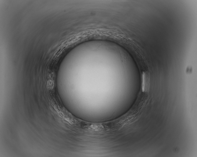 X0000113321491200909211142