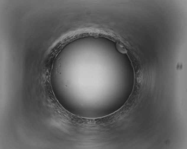 X0000113321495200909211143