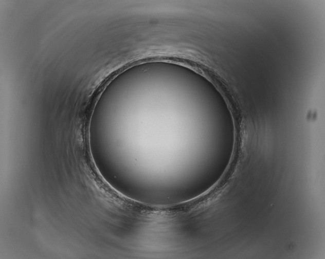 X0000113321497200909211143