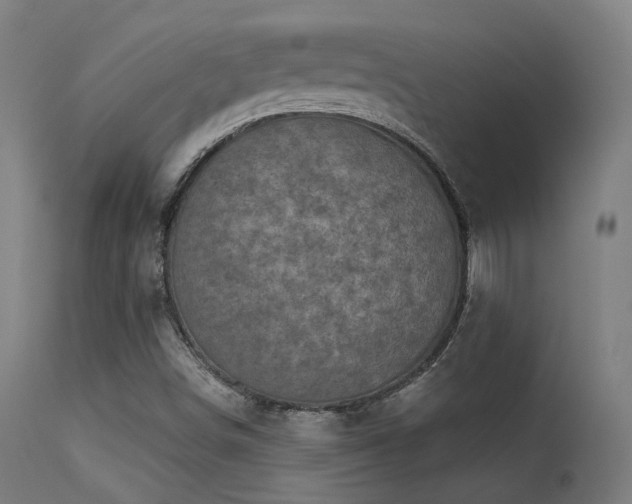 X0000113321498200909211143