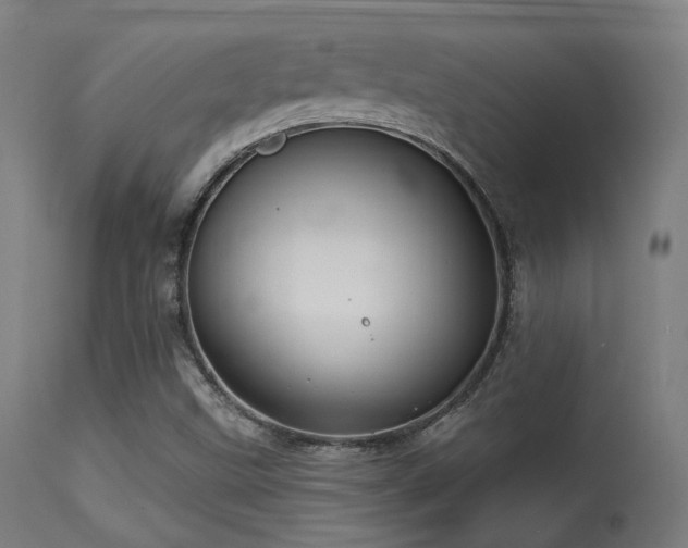 X0000113321499200909211143