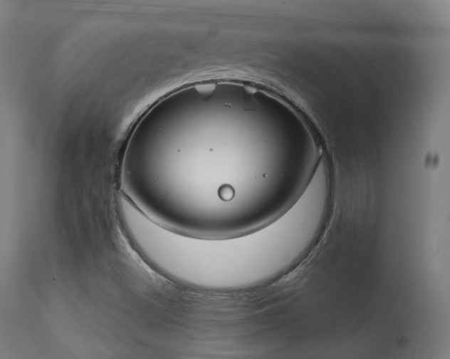 X0000113321500200909211143