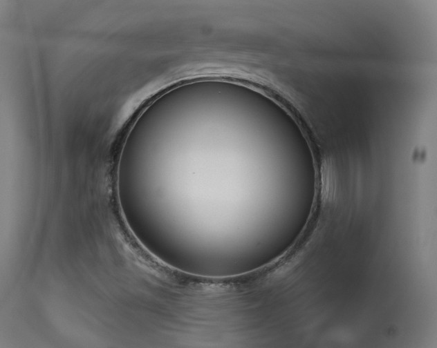 X0000113321501200909211143