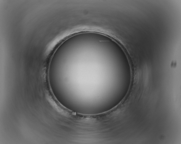 X0000113321503200909211143