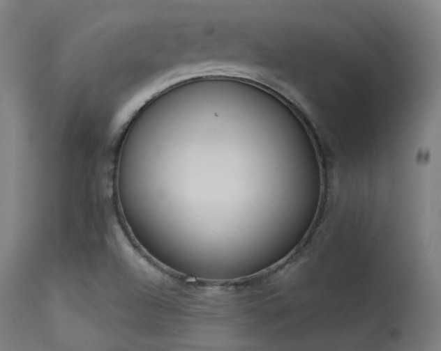 X0000113321504200909211143