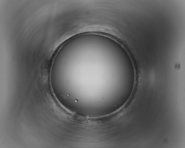 X0000113321505200909211143