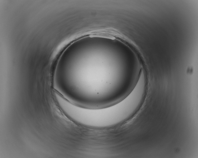 X0000113321506200909211143