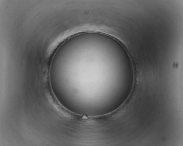 X0000113321507200909211143