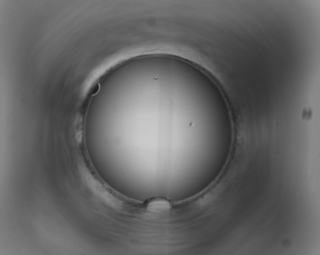 X0000113321510200909211143