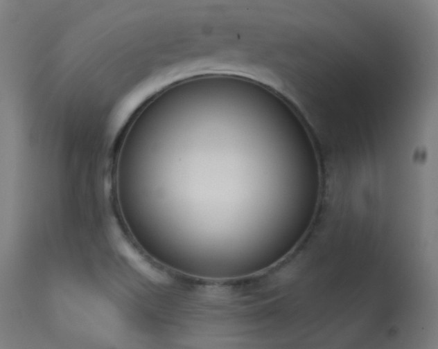 X0000113321511200909211143