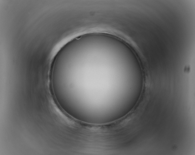 X0000113321512200909211143