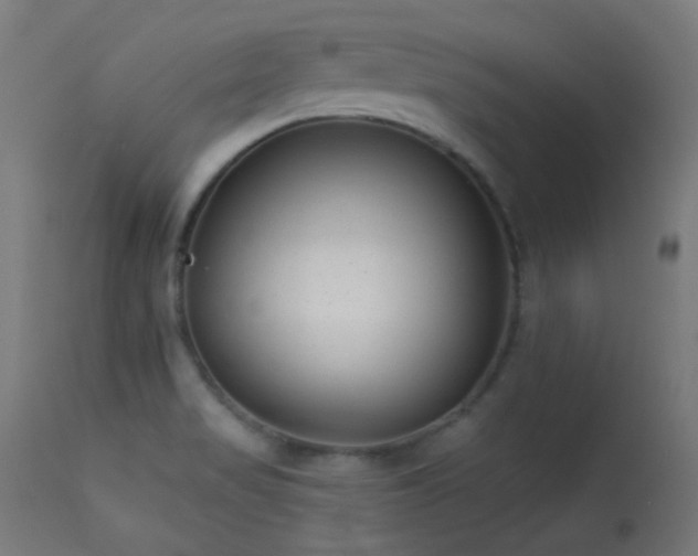 X0000113321517200909211143