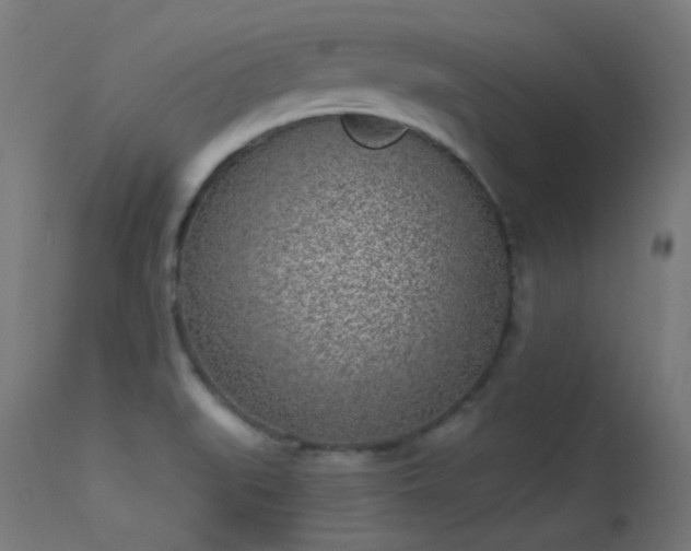 X0000113321519200909211143