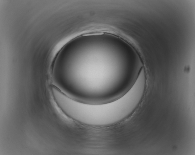 X0000113321520200909211143