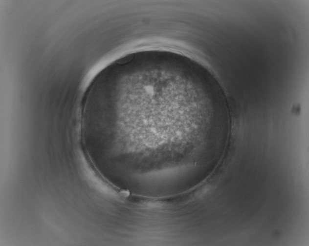 X0000113321522200909211143