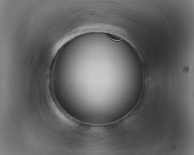 X0000113321523200909211143